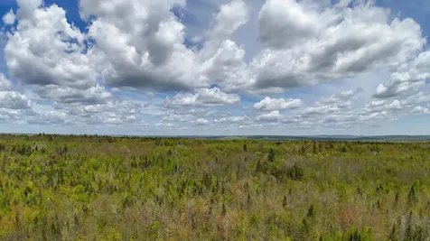 Lot 4 E Ridge Road Cooper ME 04657