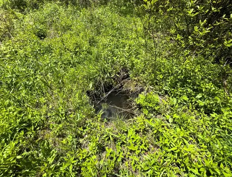 Lot 4 E Ridge Road Cooper ME 04657
