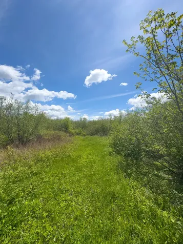 Lot 4 E Ridge Road Cooper ME 04657