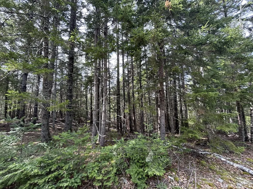 Lot 4 North Shore Road Lubec ME 04631