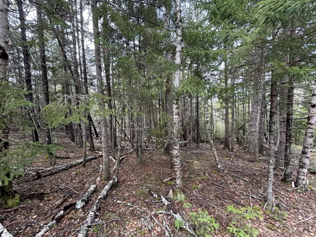 Lot 4 North Shore Road Lubec ME 04631