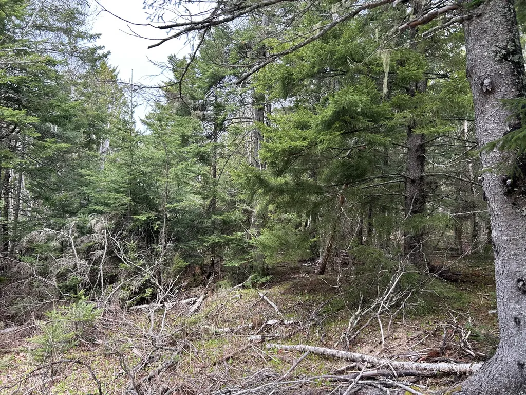 Lot 4 North Shore Road Lubec ME 04631