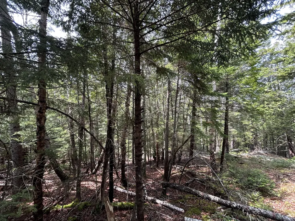 Lot 4 North Shore Road Lubec ME 04631