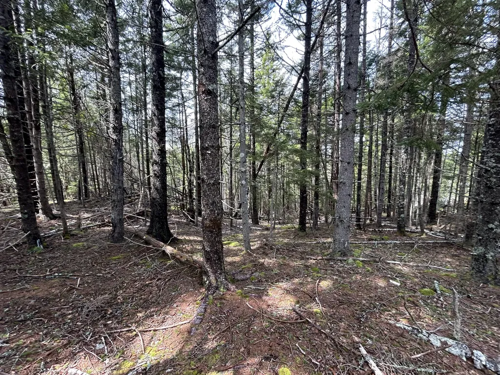 Lot 4 North Shore Road Lubec ME 04631
