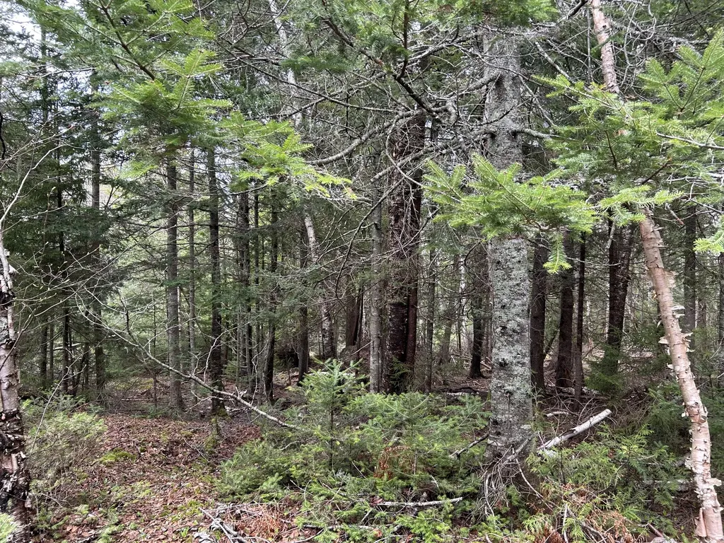 Lot 4 North Shore Road Lubec ME 04631