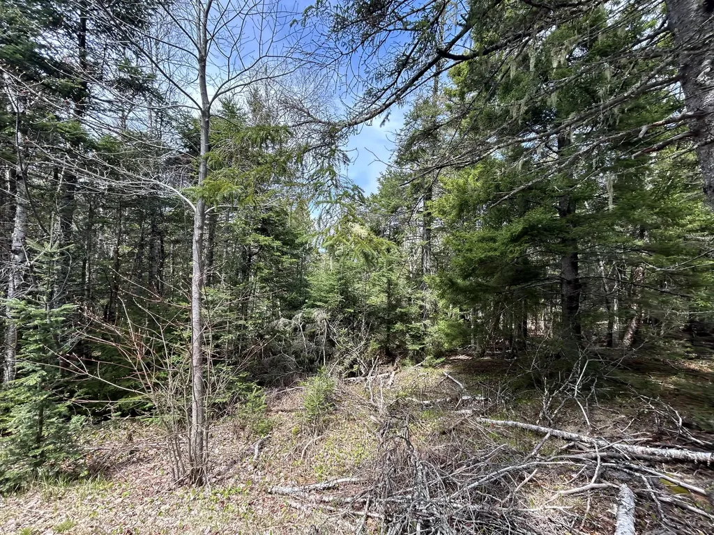 Lot 4 North Shore Road Lubec ME 04631