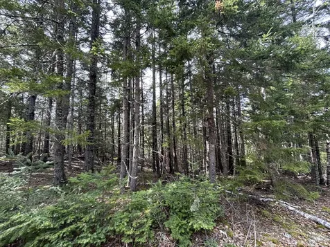 Lot 4 North Shore Road Lubec ME 04631