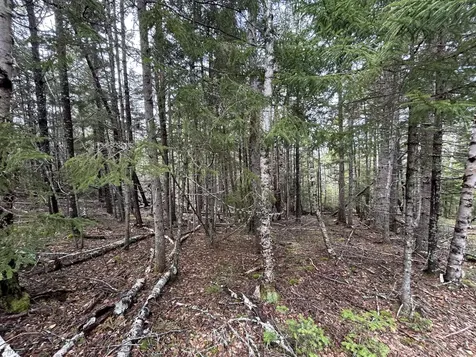 Lot 4 North Shore Road Lubec ME 04631