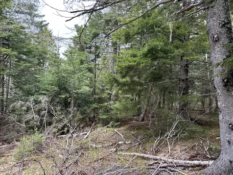Lot 4 North Shore Road Lubec ME 04631