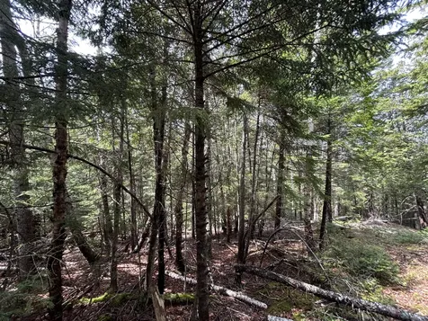 Lot 4 North Shore Road Lubec ME 04631