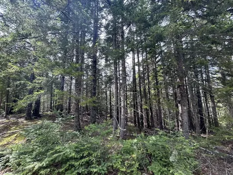Lot 4 North Shore Road Lubec ME 04631