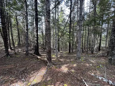 Lot 4 North Shore Road Lubec ME 04631