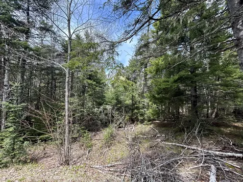 Lot 4 North Shore Road Lubec ME 04631