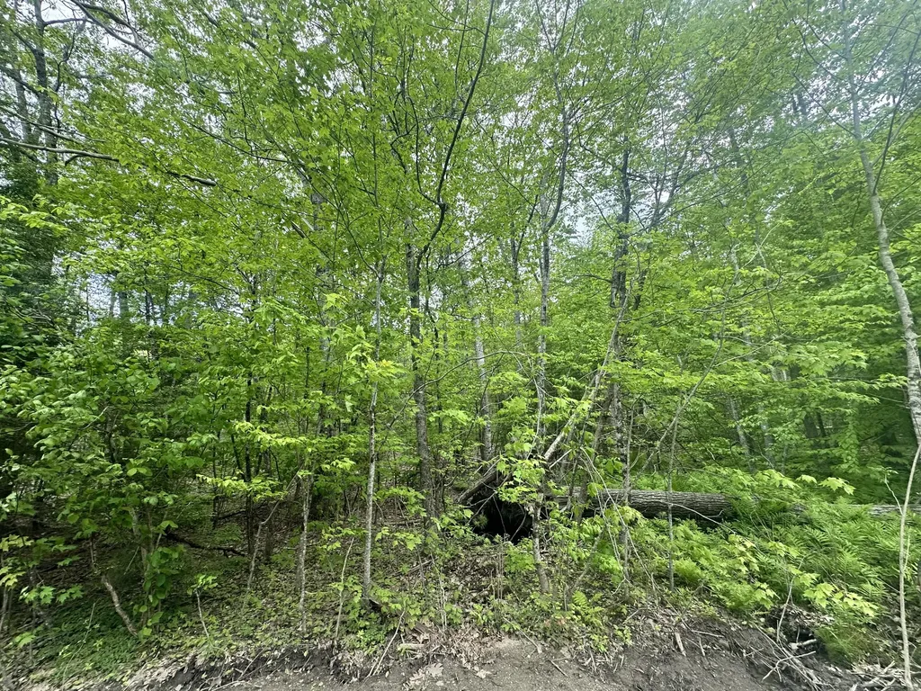 Lot #15 Greenacre Road Lincolnville ME 04849