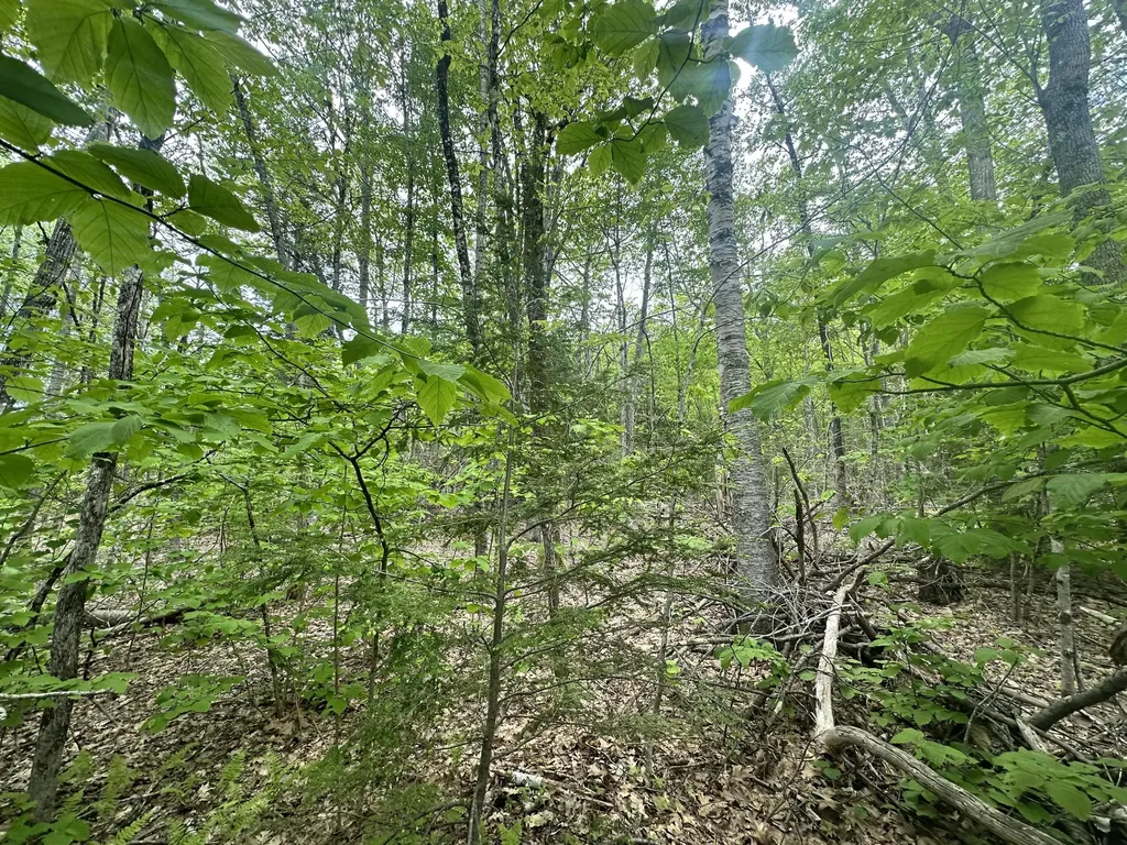 Lot #15 Greenacre Road Lincolnville ME 04849