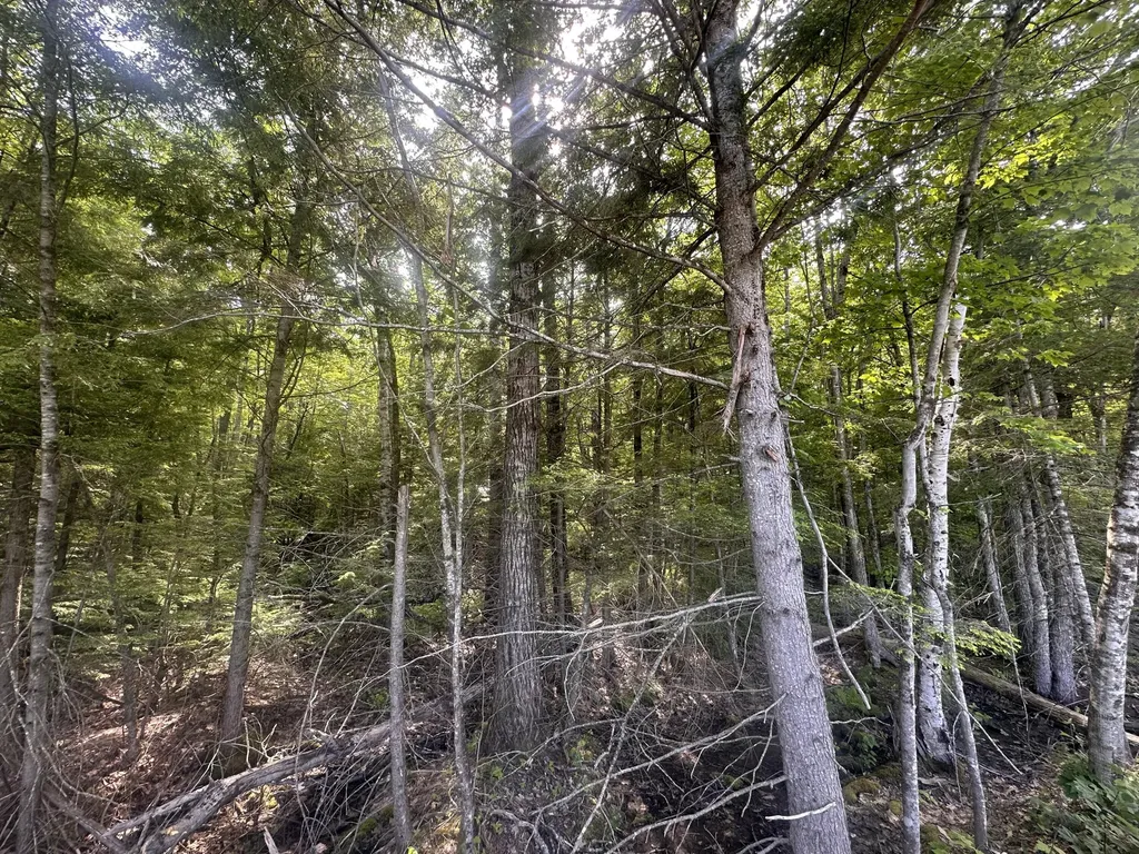 Lot #15 Greenacre Road Lincolnville ME 04849