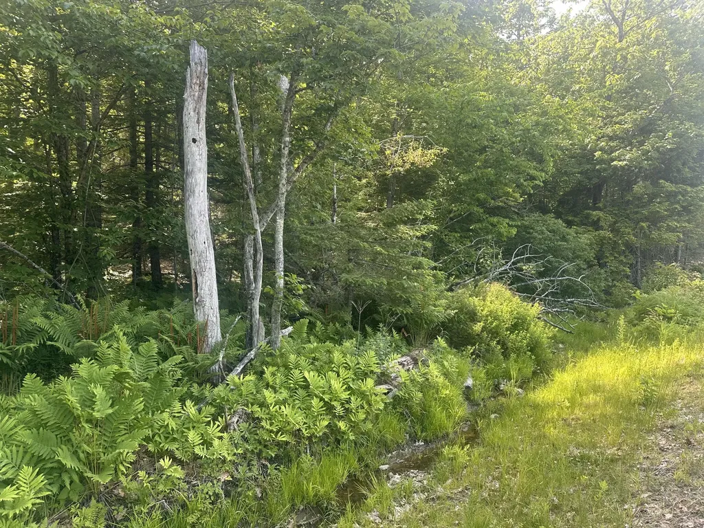 Lot #15 Greenacre Road Lincolnville ME 04849
