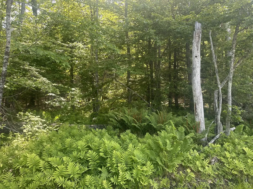 Lot #15 Greenacre Road Lincolnville ME 04849