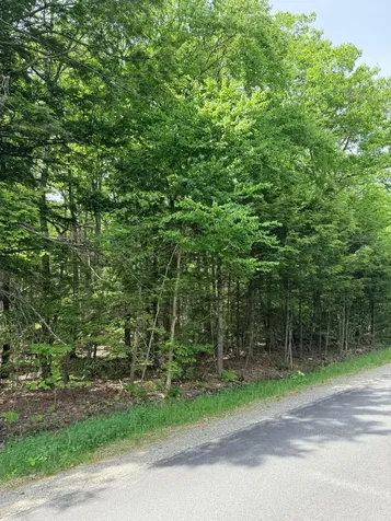 Lot #15 Greenacre Road Lincolnville ME 04849