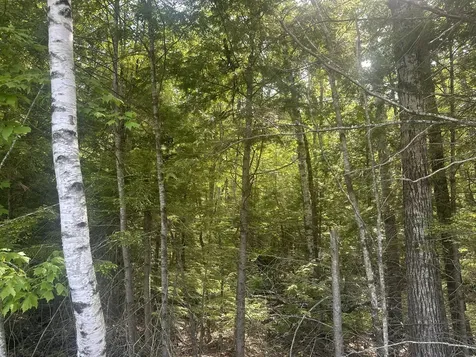 Lot #15 Greenacre Road Lincolnville ME 04849