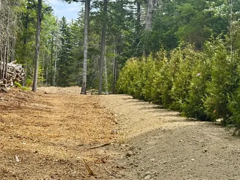 93 Goods Point Road Steuben ME 04680