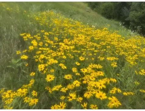 286 Upper Hostile Valley Road Liberty ME 04949