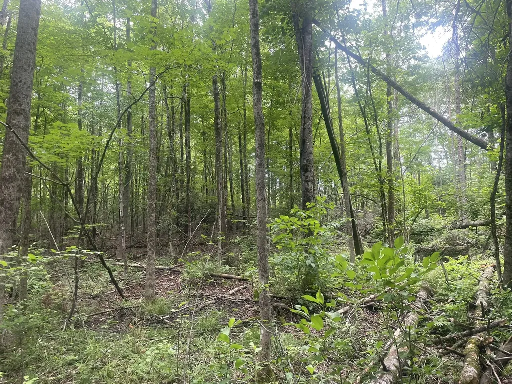 1075 Hill Road Clinton ME 04927