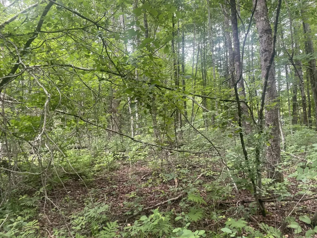 1075 Hill Road Clinton ME 04927