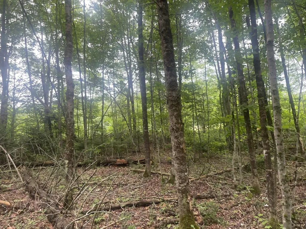1075 Hill Road Clinton ME 04927