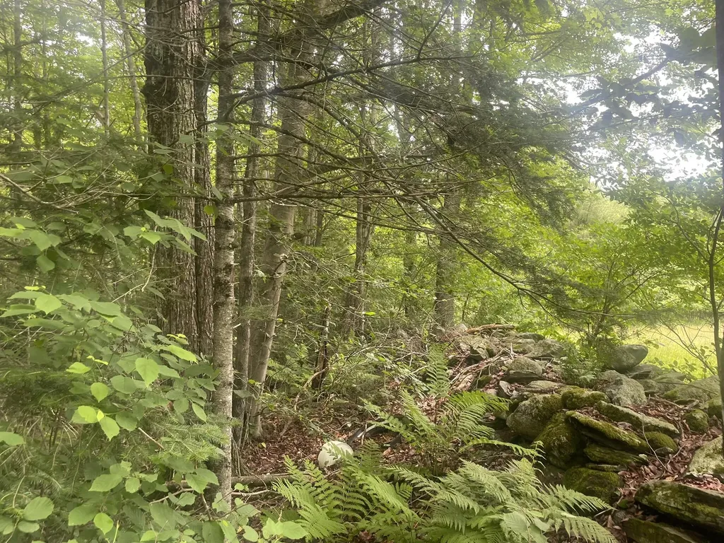 1075 Hill Road Clinton ME 04927