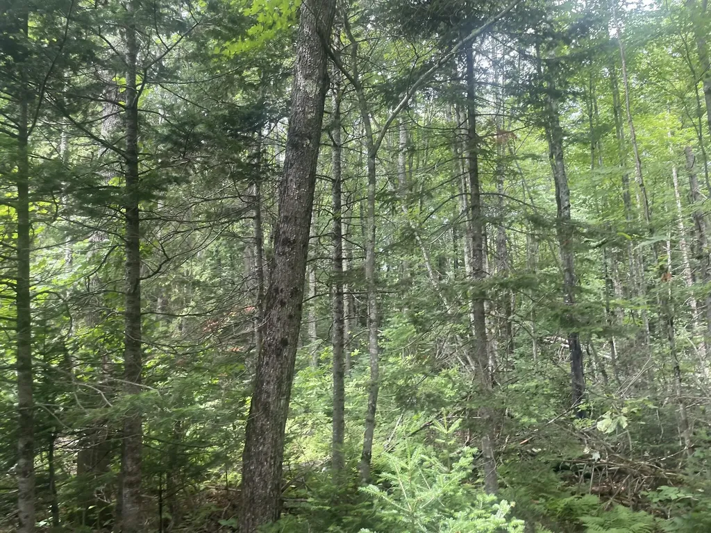 1075 Hill Road Clinton ME 04927