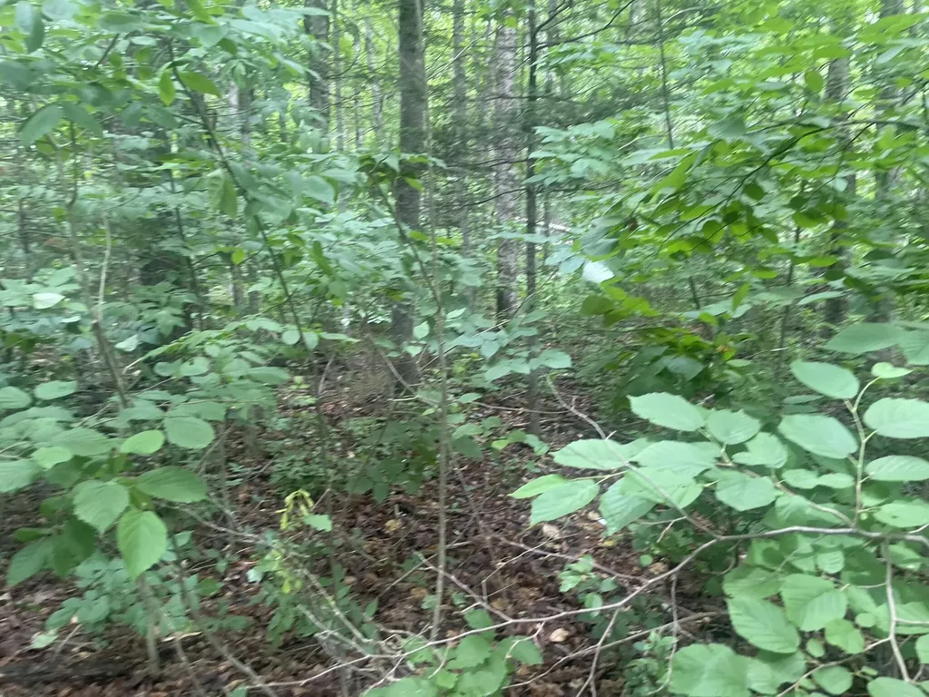 1075 Hill Road Clinton ME 04927