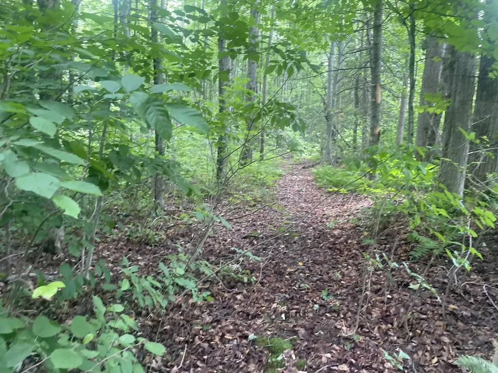 1075 Hill Road Clinton ME 04927