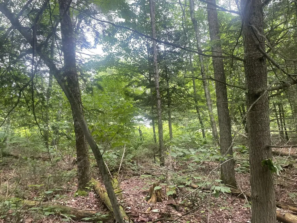 1075 Hill Road Clinton ME 04927