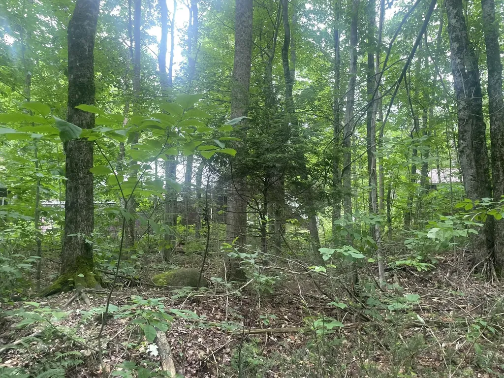 1075 Hill Road Clinton ME 04927