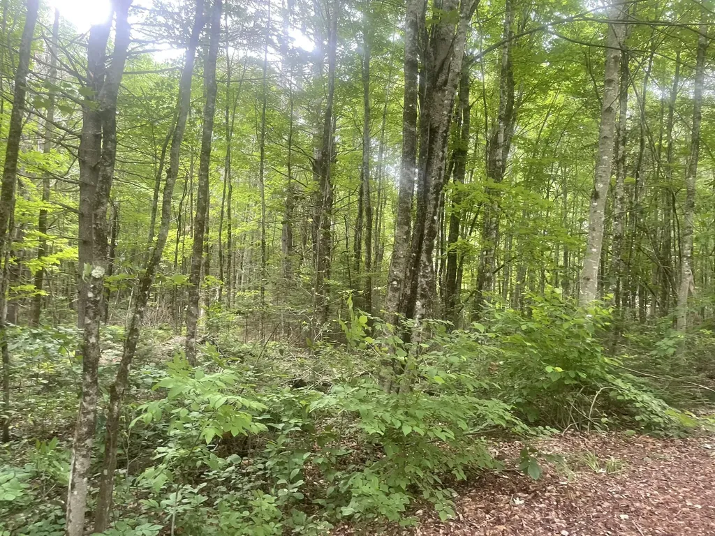 1075 Hill Road Clinton ME 04927