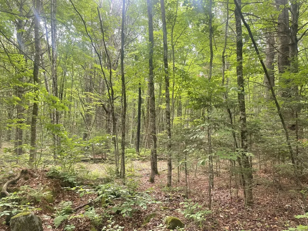 1075 Hill Road Clinton ME 04927