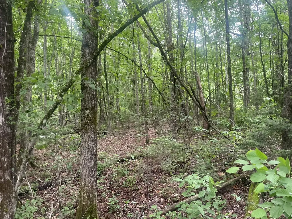 1075 Hill Road Clinton ME 04927