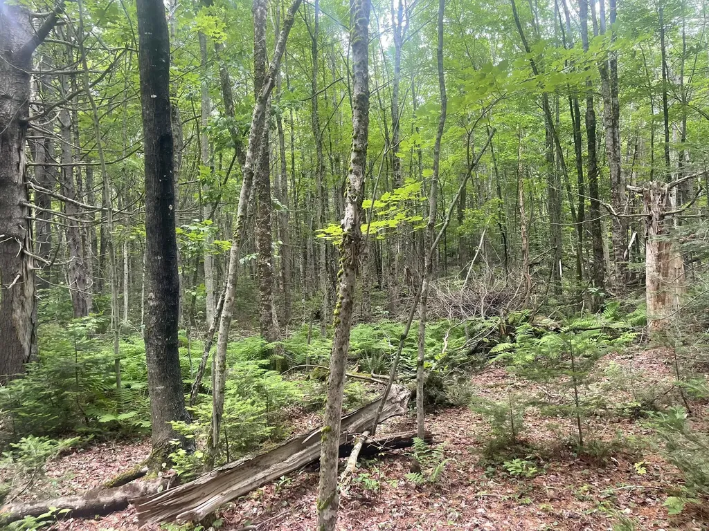 1075 Hill Road Clinton ME 04927