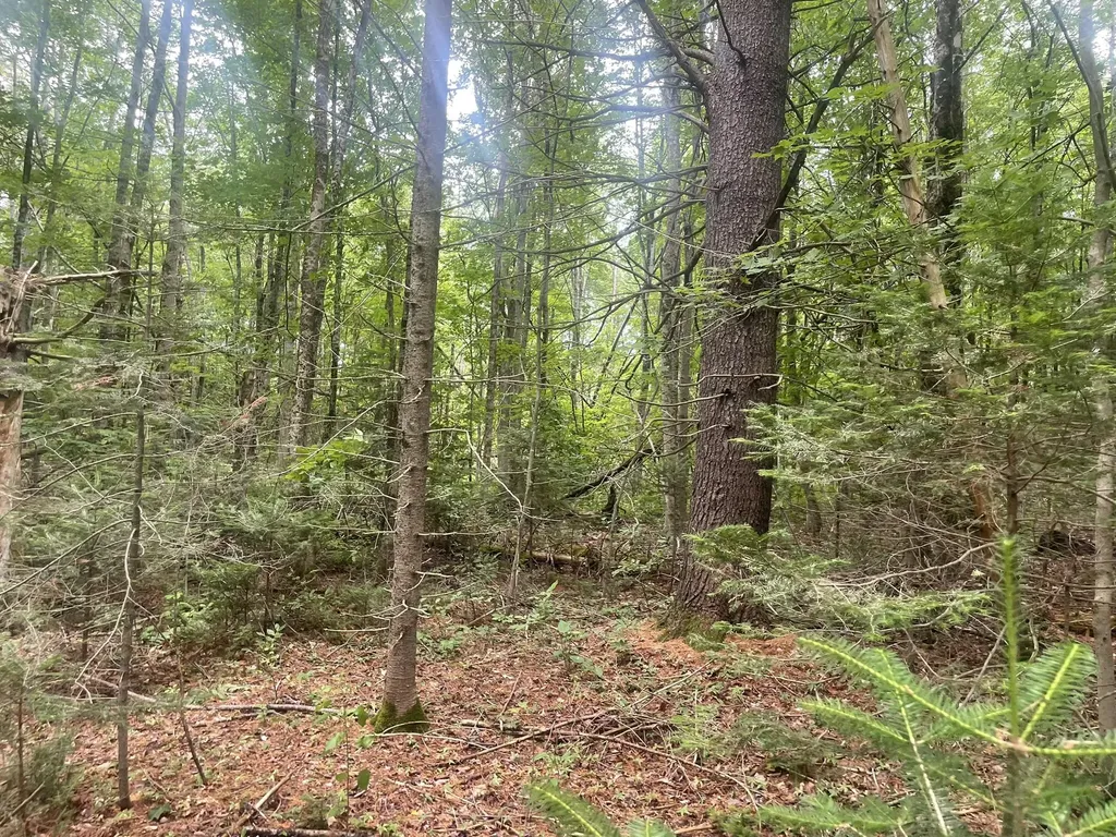 1075 Hill Road Clinton ME 04927