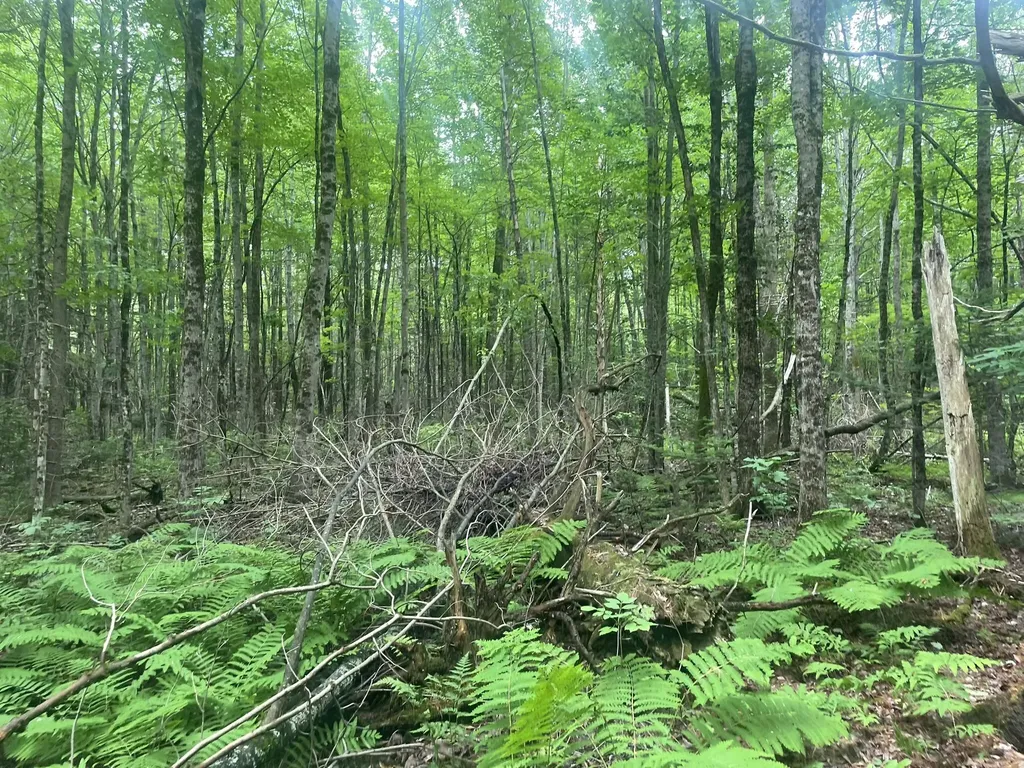 1075 Hill Road Clinton ME 04927