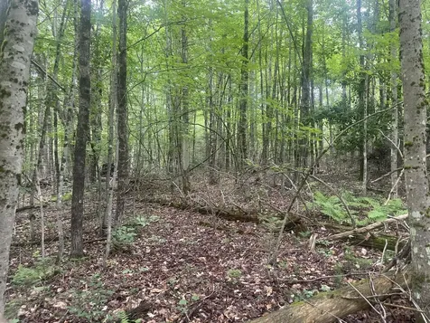 1075 Hill Road Clinton ME 04927