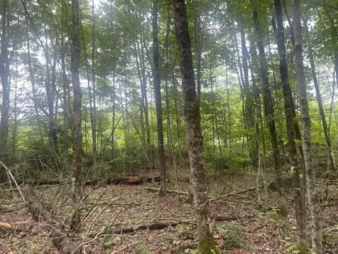 1075 Hill Road Clinton ME 04927