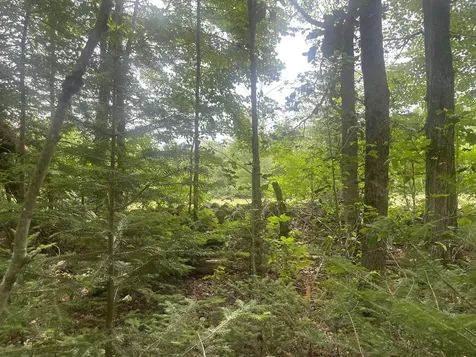 1075 Hill Road Clinton ME 04927