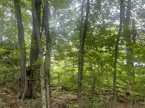 1075 Hill Road Clinton ME 04927