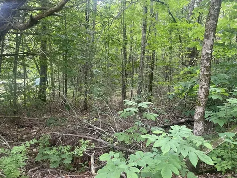 1075 Hill Road Clinton ME 04927