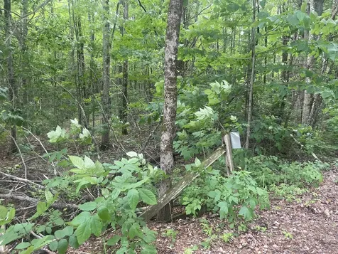 1075 Hill Road Clinton ME 04927