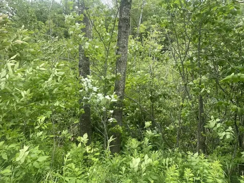 1075 Hill Road Clinton ME 04927