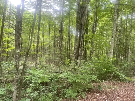 1075 Hill Road Clinton ME 04927