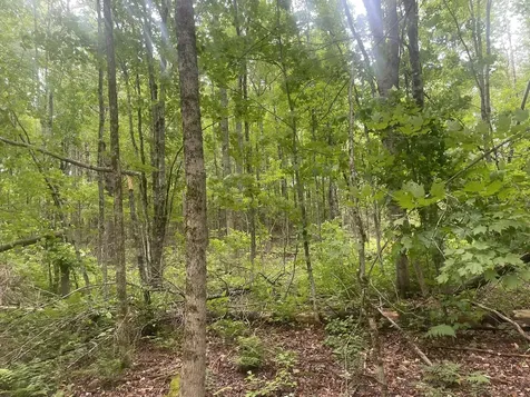 1075 Hill Road Clinton ME 04927